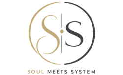 Soul meets System Logo